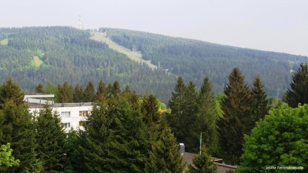 App 507 Bocksbergblick Im Ferienpark Hahnenklee Haus 1 Goslar Dış mekan fotoğraf