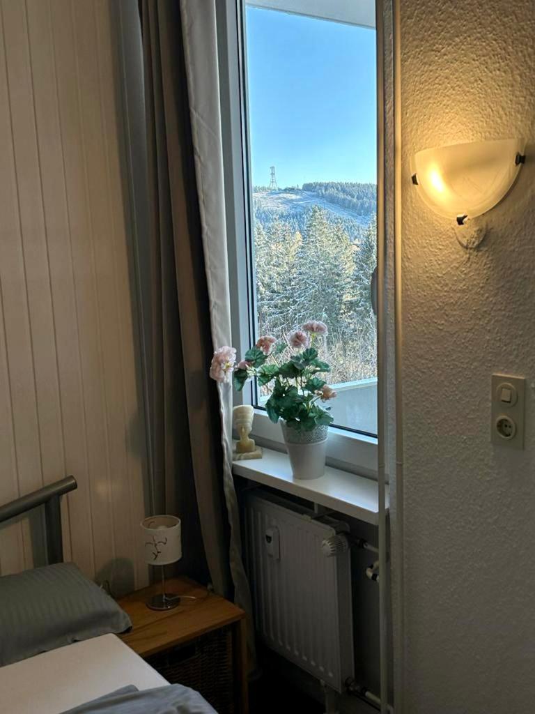 App 507 Bocksbergblick Im Ferienpark Hahnenklee Haus 1 Goslar Dış mekan fotoğraf