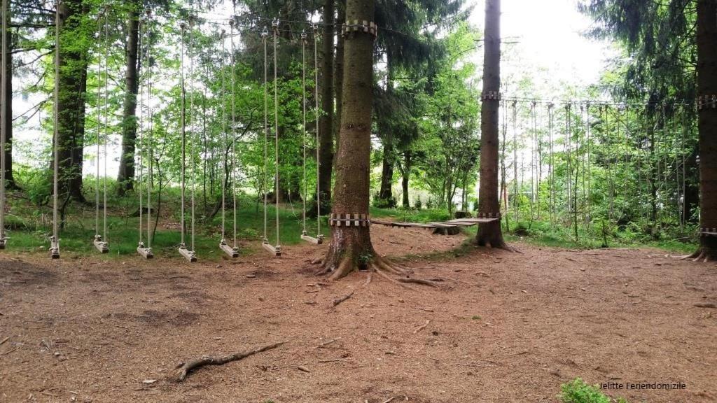 App 507 Bocksbergblick Im Ferienpark Hahnenklee Haus 1 Goslar Dış mekan fotoğraf